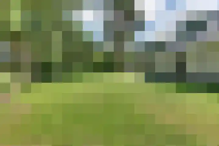 Prins Hendriklaan 13 Ermelo thumbnail 78