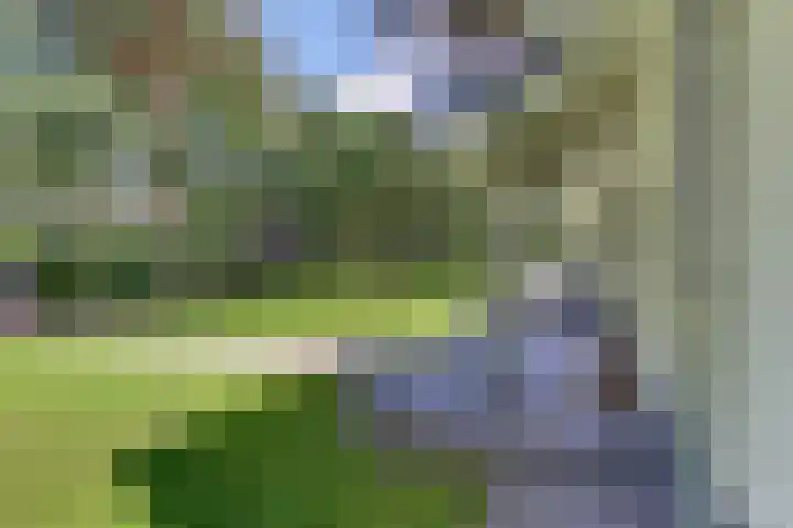 Prins Hendriklaan 13 Ermelo thumbnail 81
