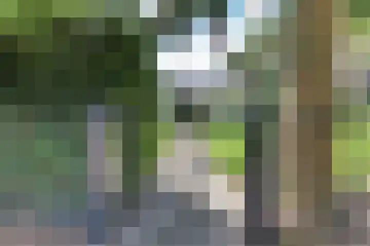 Prins Hendriklaan 13 Ermelo thumbnail 87
