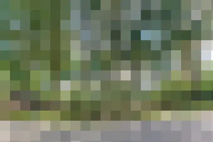 Prins Hendriklaan 13 Ermelo thumbnail 88