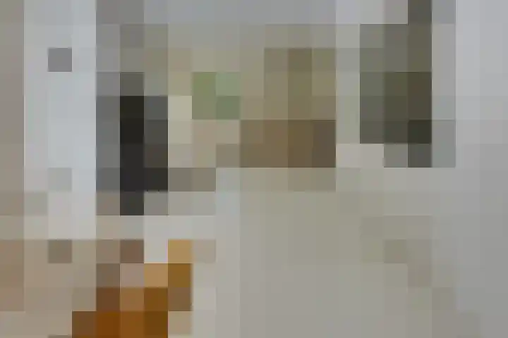 Prins Hendriklaan 13 Ermelo thumbnail 9