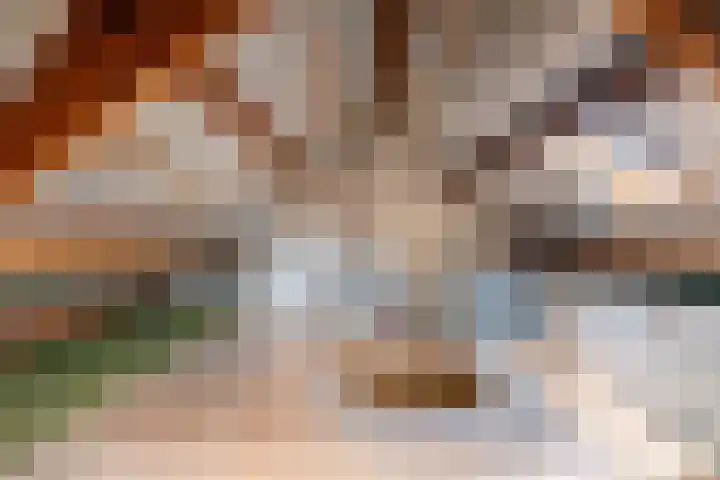Prins Hendriklaan 13 Gendringen thumbnail 26