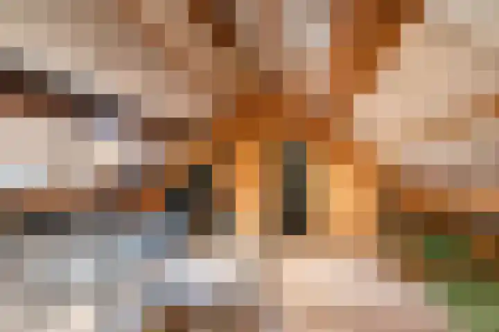 Prins Hendriklaan 13 Gendringen thumbnail 27