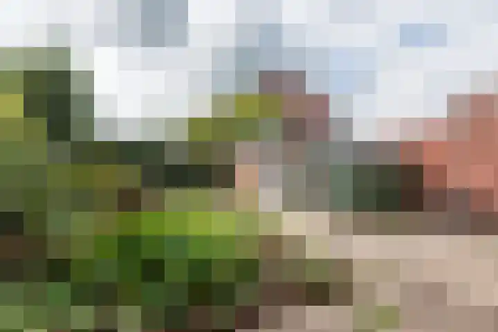 Prins Hendriklaan 13 Gendringen thumbnail 30