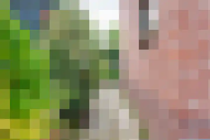 Prins Hendriklaan 13 Gendringen thumbnail 33