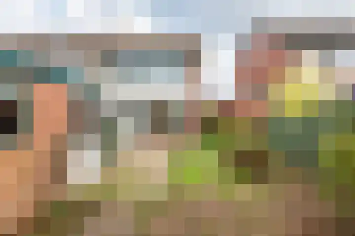 Prins Hendriklaan 13 Gendringen thumbnail 4
