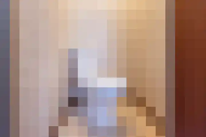Prins Hendriklaan 13 Gendringen thumbnail 9