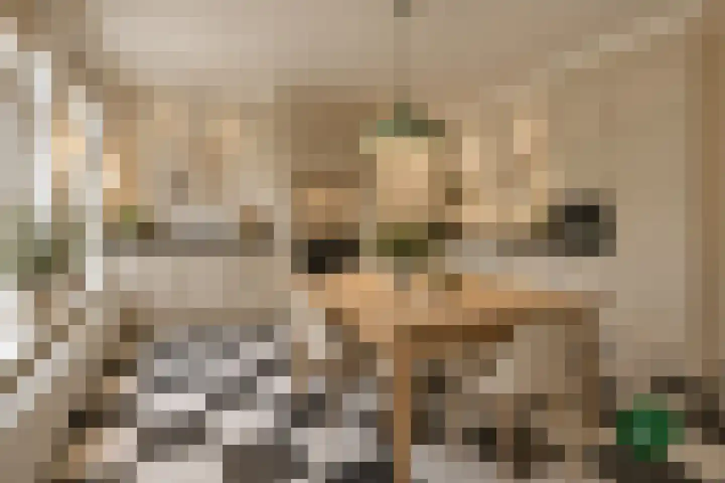 Prins Hendriklaan 14 Blaricum thumbnail 11