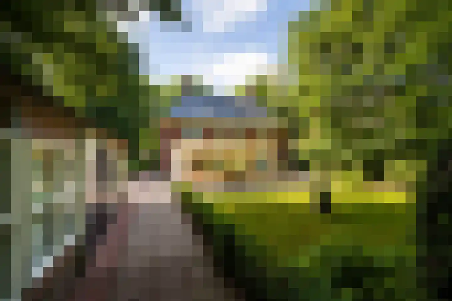 Prins Hendriklaan 14 Blaricum thumbnail 12