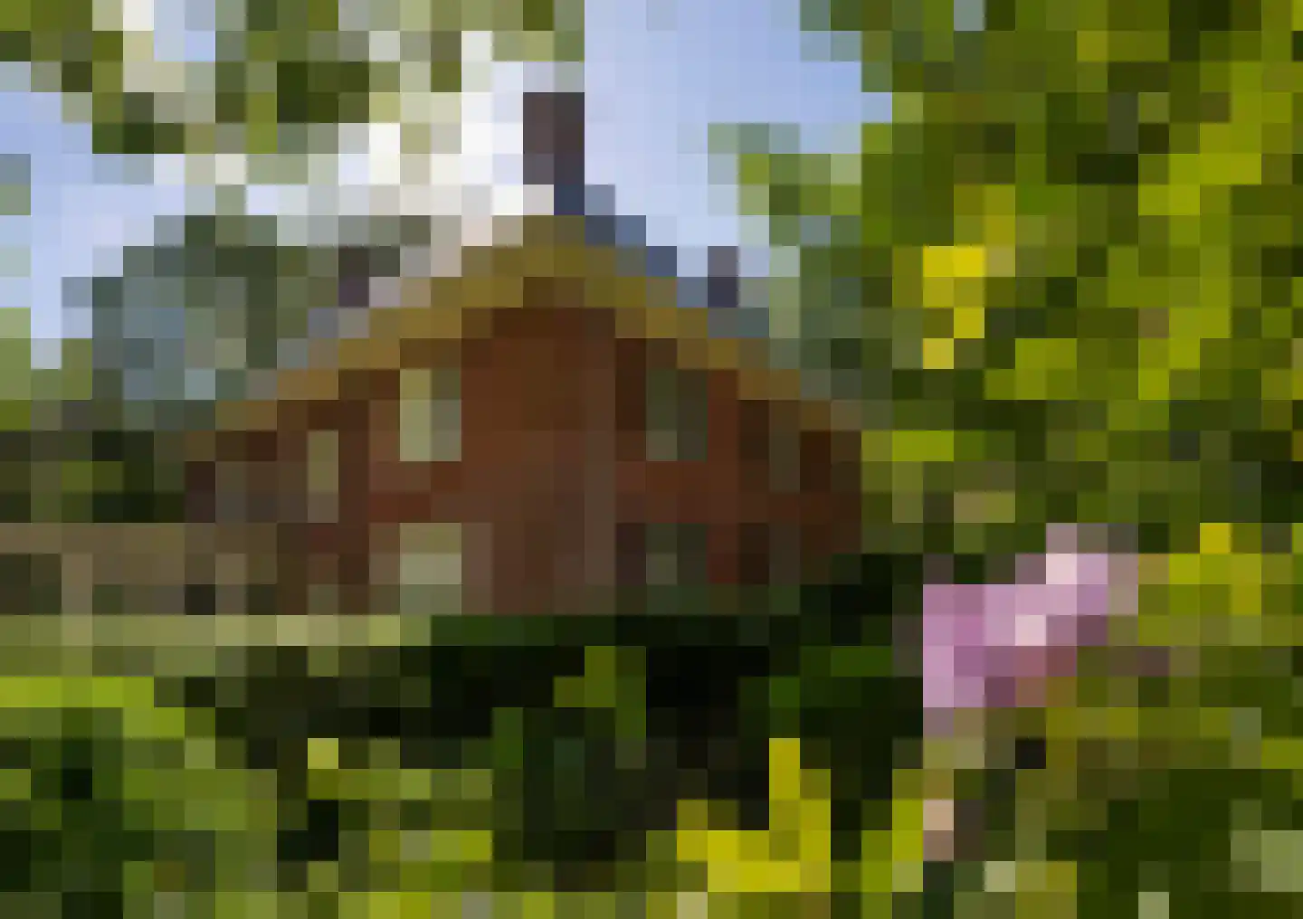 Prins Hendriklaan 14 Blaricum thumbnail 14