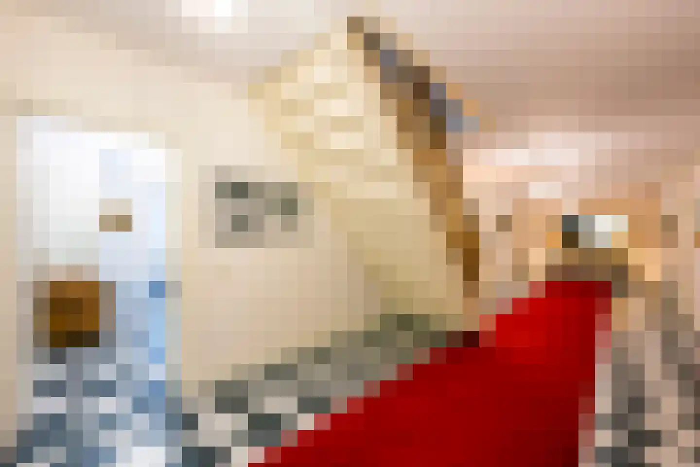 Prins Hendriklaan 14 Blaricum thumbnail 16