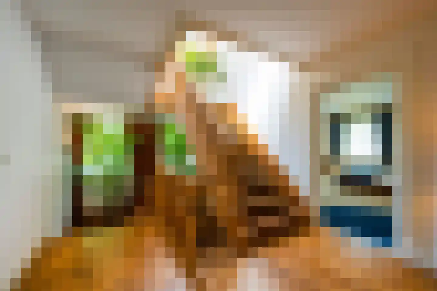 Prins Hendriklaan 14 Blaricum thumbnail 21