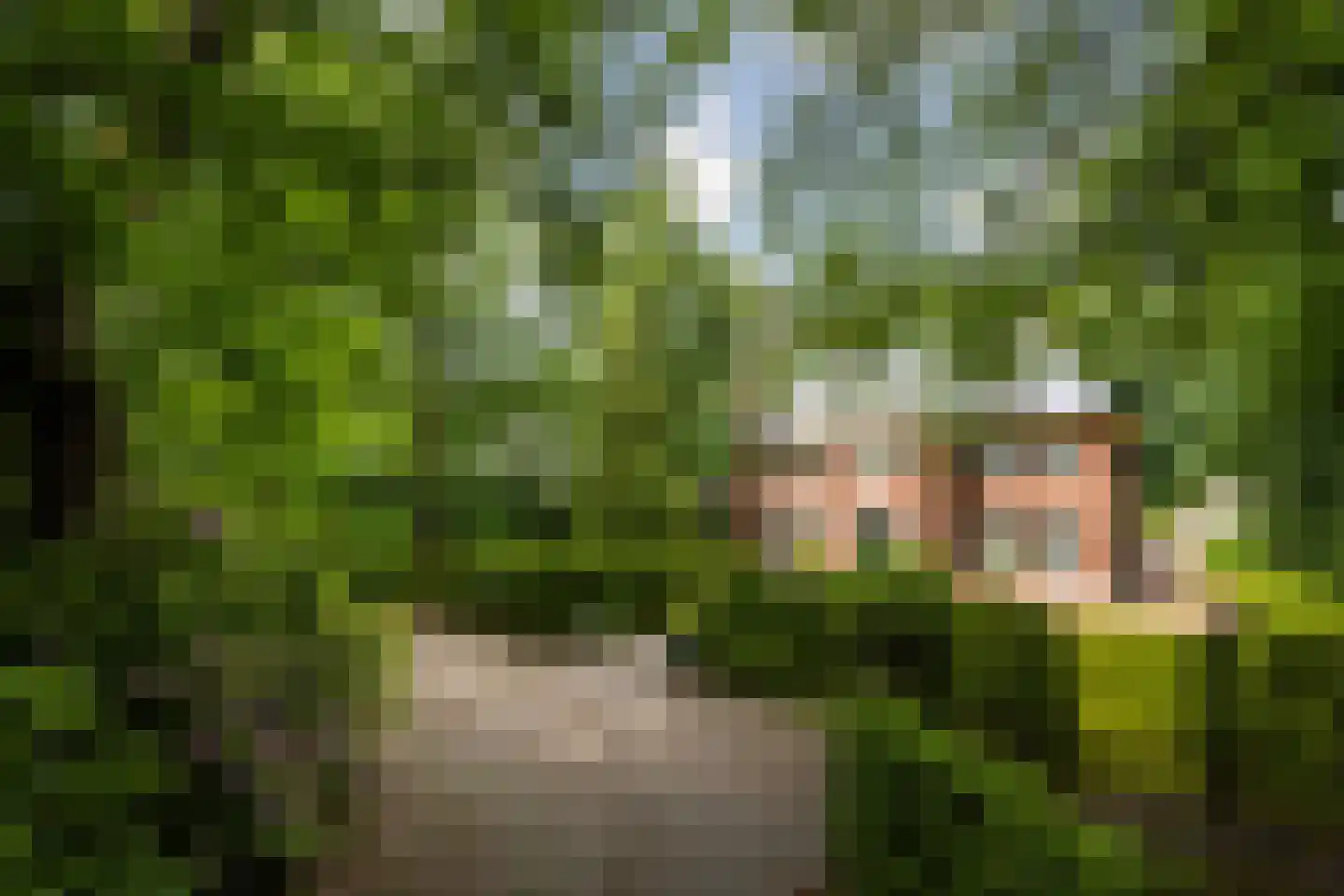 Prins Hendriklaan 14 Blaricum thumbnail 33