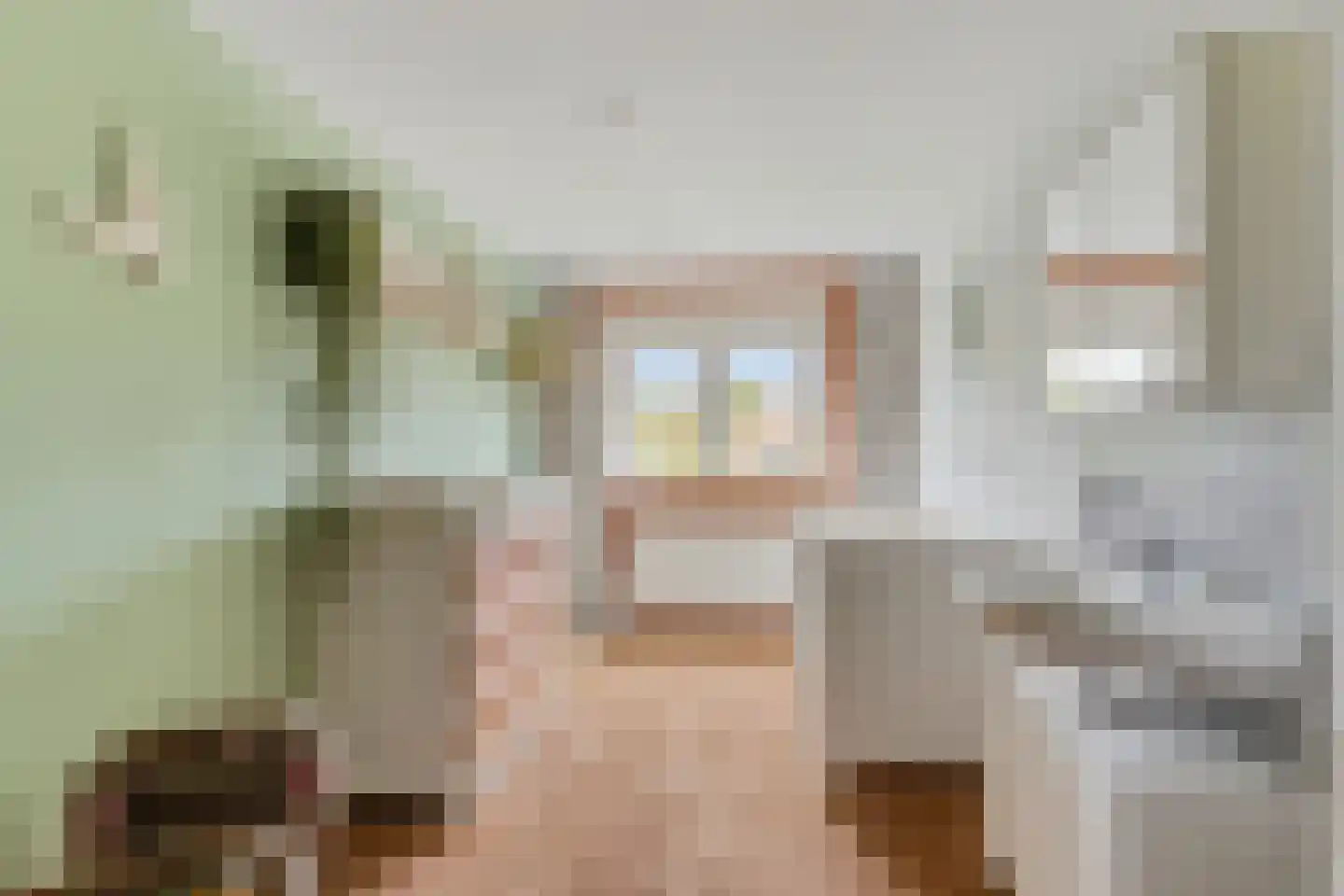 Prins Hendriklaan 14 Oosterhout thumbnail 21
