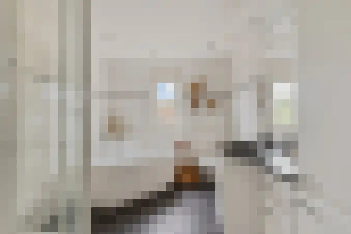 Prins Hendriklaan 14 Oosterhout thumbnail 26