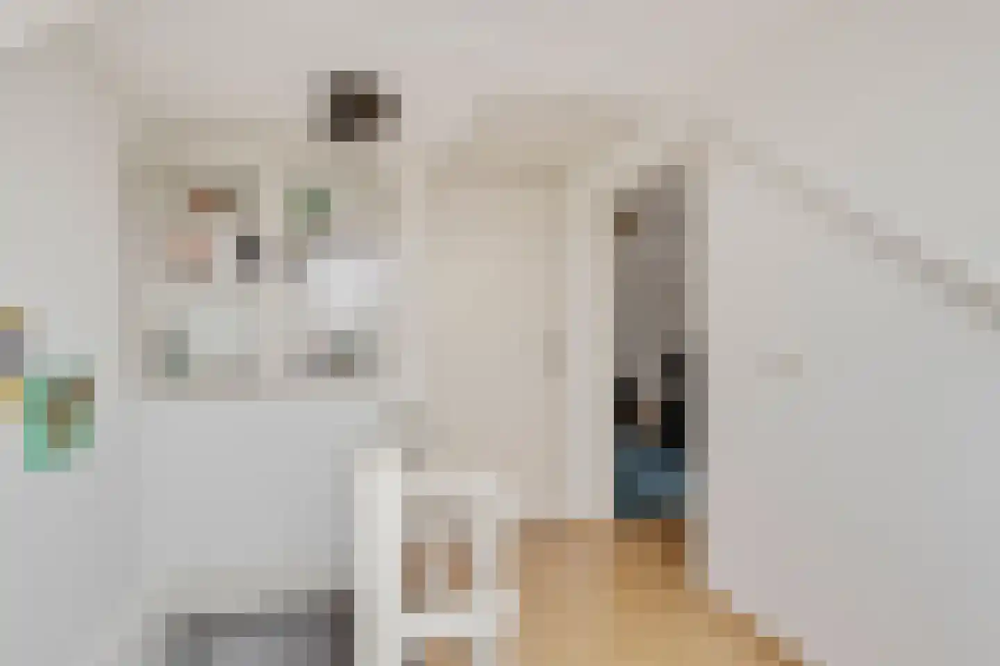 Prins Hendriklaan 14 Oosterhout thumbnail 30