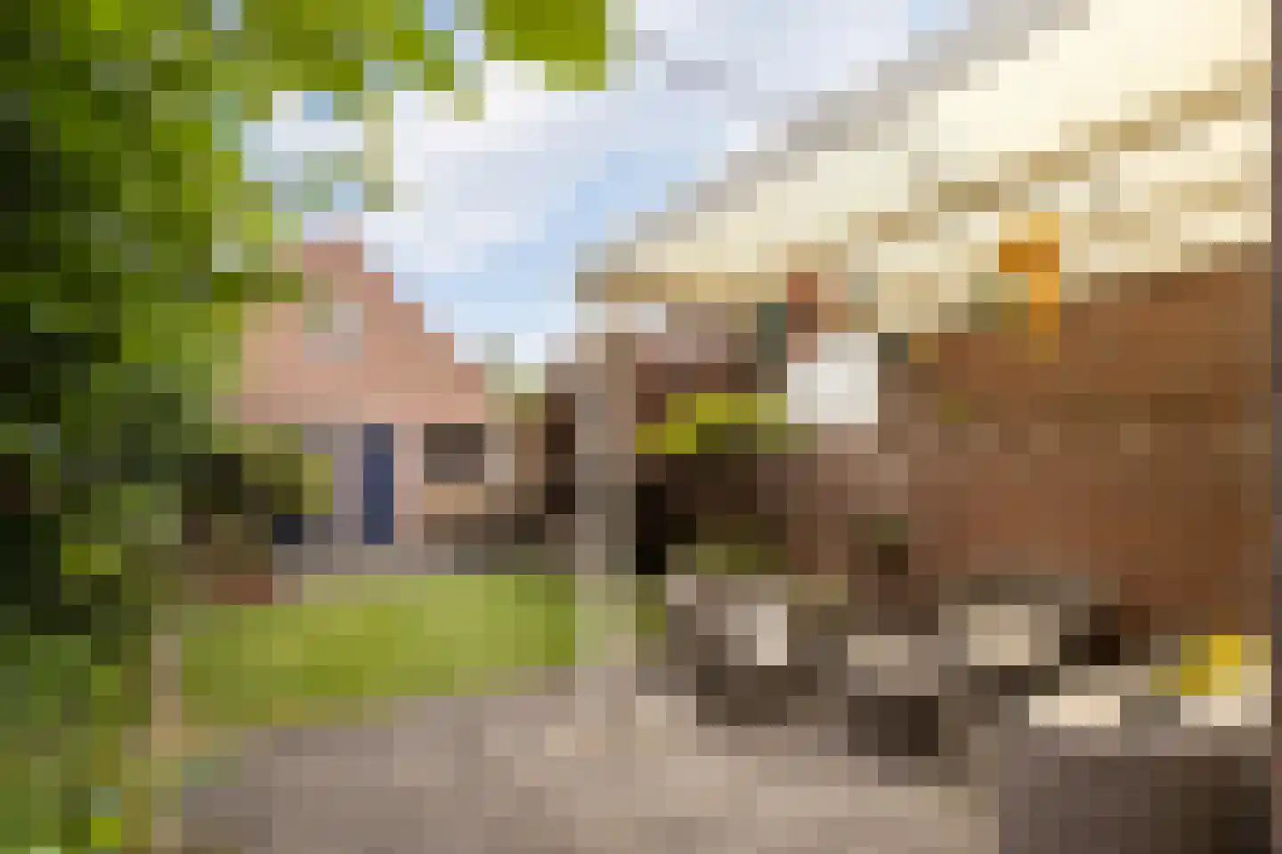 Prins Hendriklaan 14 Oosterhout thumbnail 36