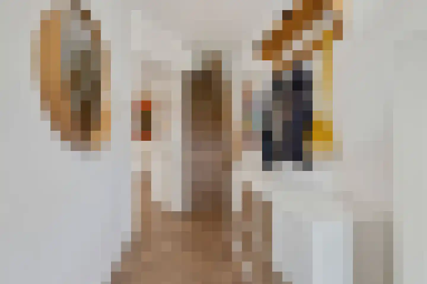 Prins Hendriklaan 14 Oosterhout thumbnail 6