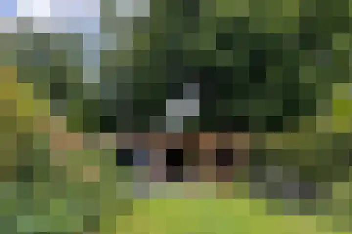 Prins Hendriklaan 14 Velp thumbnail 24