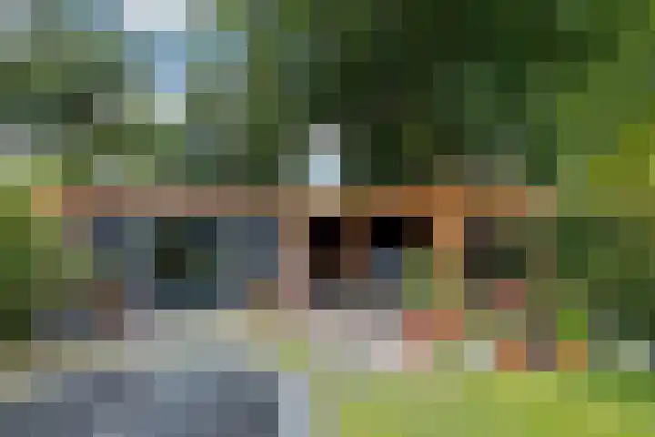 Prins Hendriklaan 14 Velp thumbnail 25
