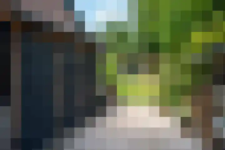 Prins Hendriklaan 14 Velp thumbnail 26