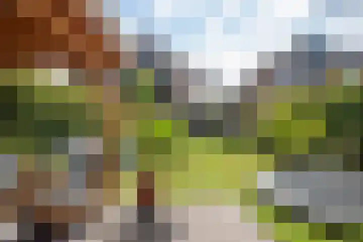 Prins Hendriklaan 14 Velp thumbnail 28