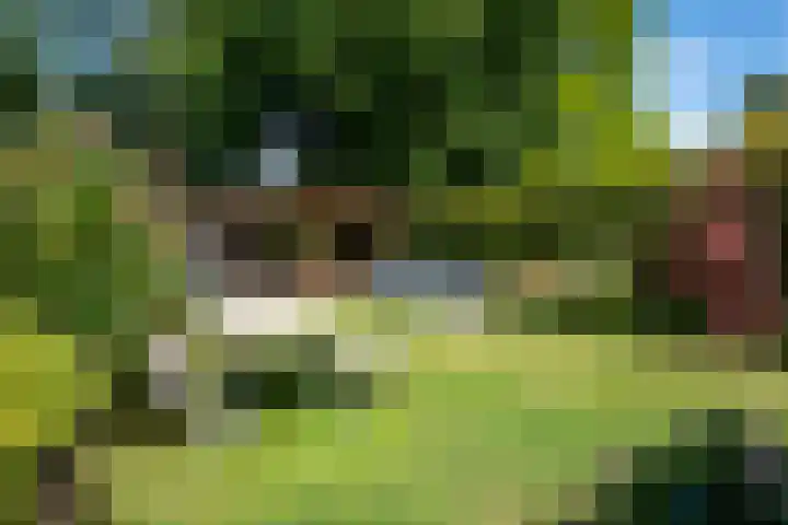 Prins Hendriklaan 14 Velp thumbnail 29