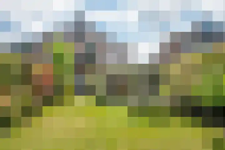 Prins Hendriklaan 14 Velp thumbnail 31