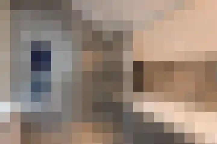 Prins Hendriklaan 14 Velp thumbnail 44