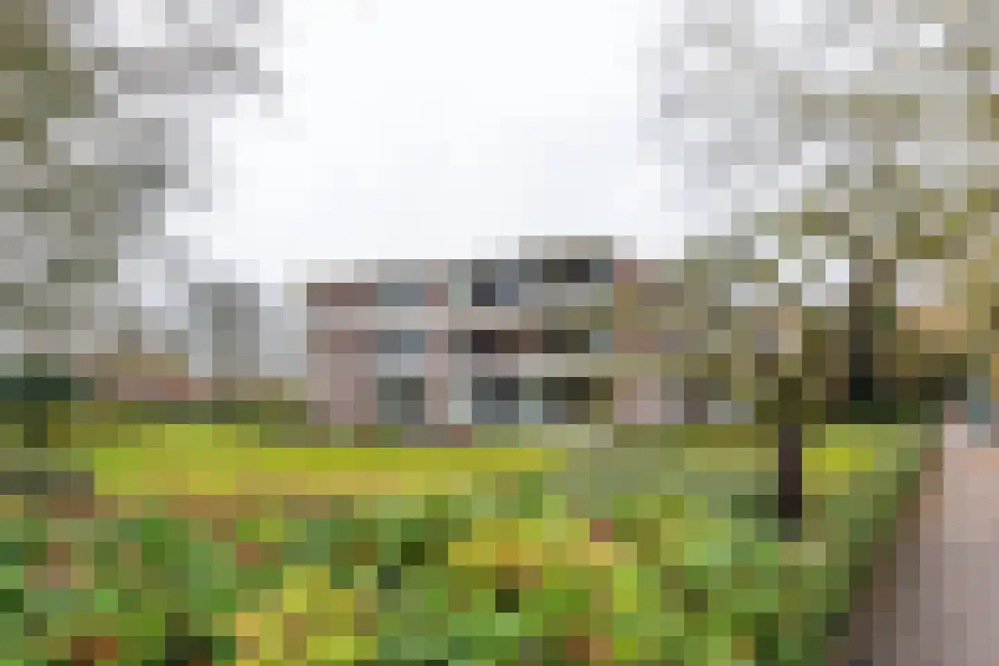 Prins Hendriklaan 146 Baarn thumbnail 24