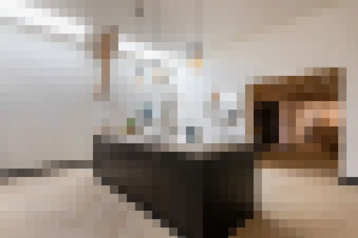Prins Hendriklaan 15 Bergen (NH) thumbnail 12