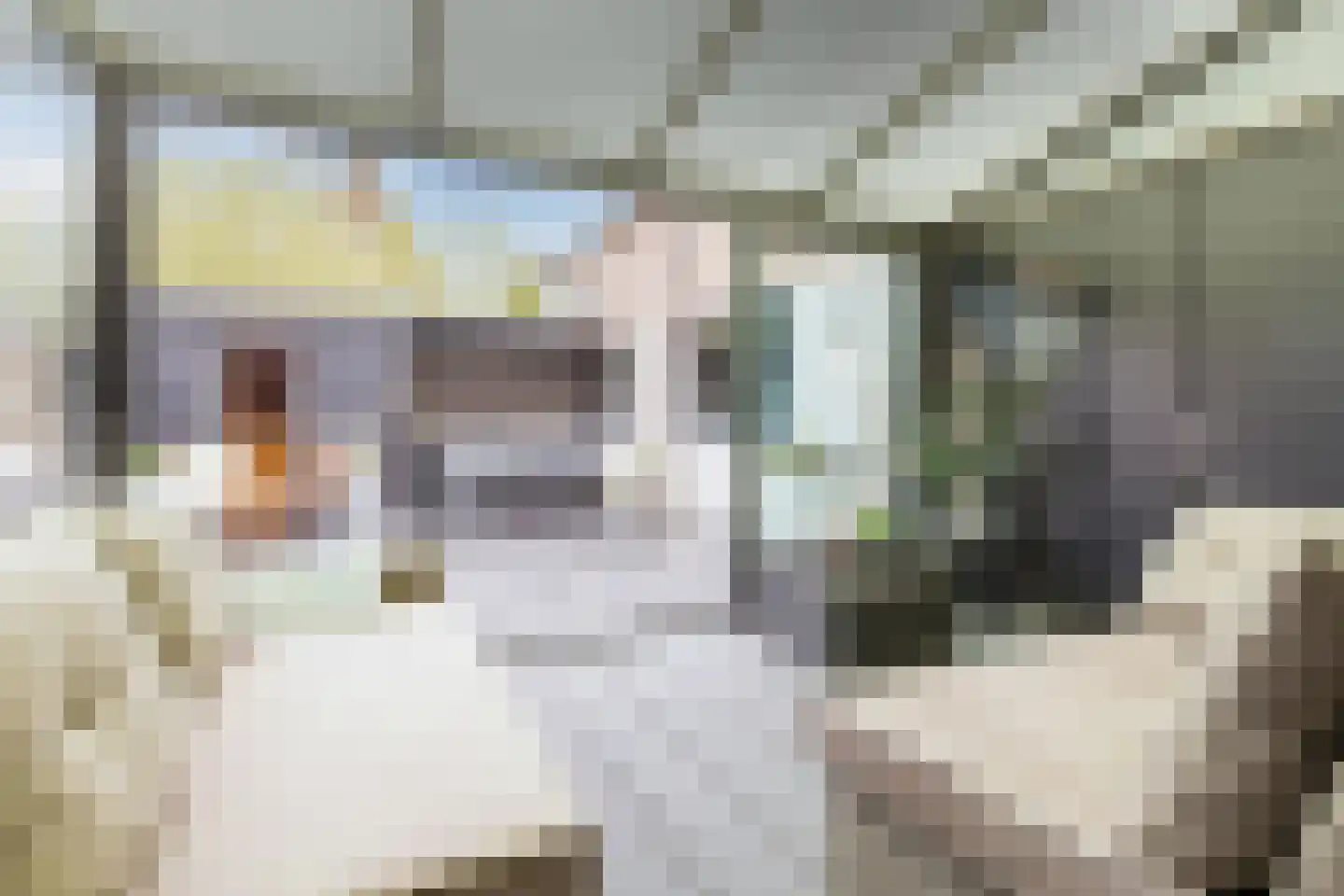 Prins Hendriklaan 15 Bergen (NH) thumbnail 21