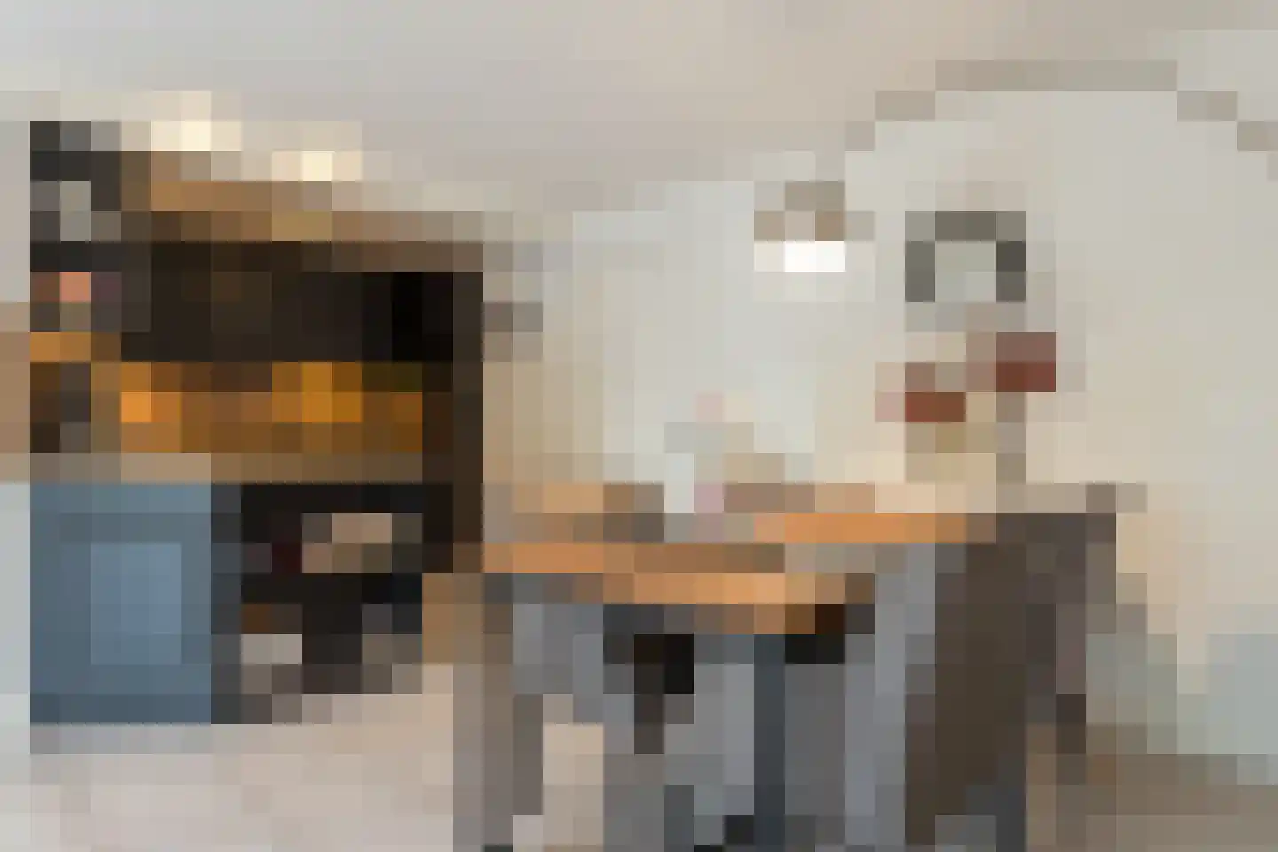 Prins Hendriklaan 15 Bergen (NH) thumbnail 30