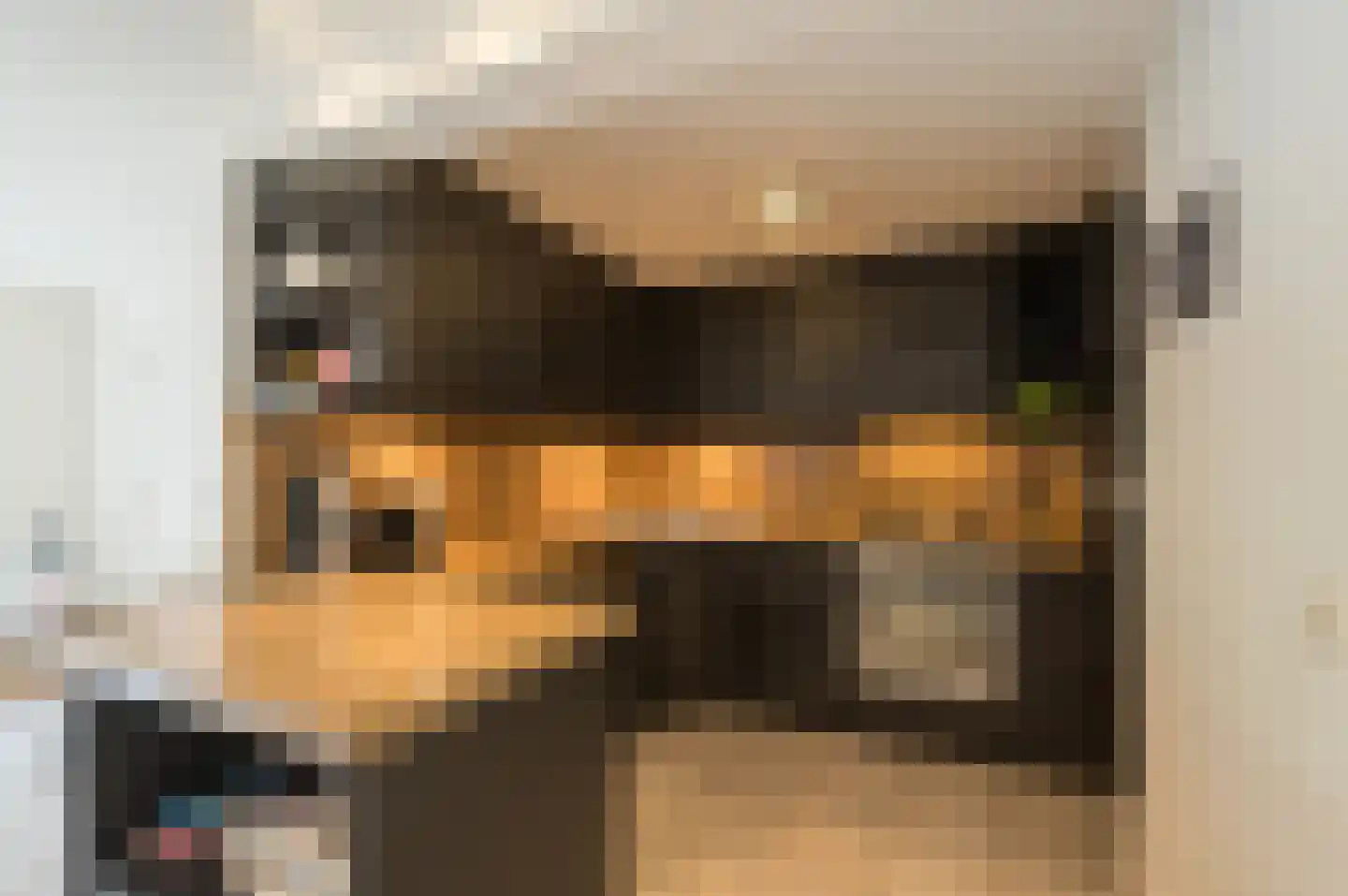 Prins Hendriklaan 15 Bergen (NH) thumbnail 31
