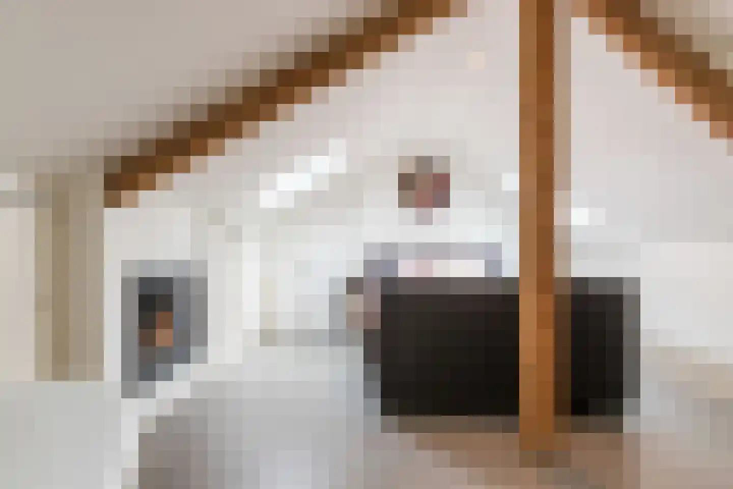 Prins Hendriklaan 15 Bergen (NH) thumbnail 57