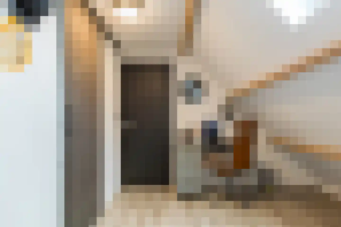 Prins Hendriklaan 15 Bergen (NH) thumbnail 61