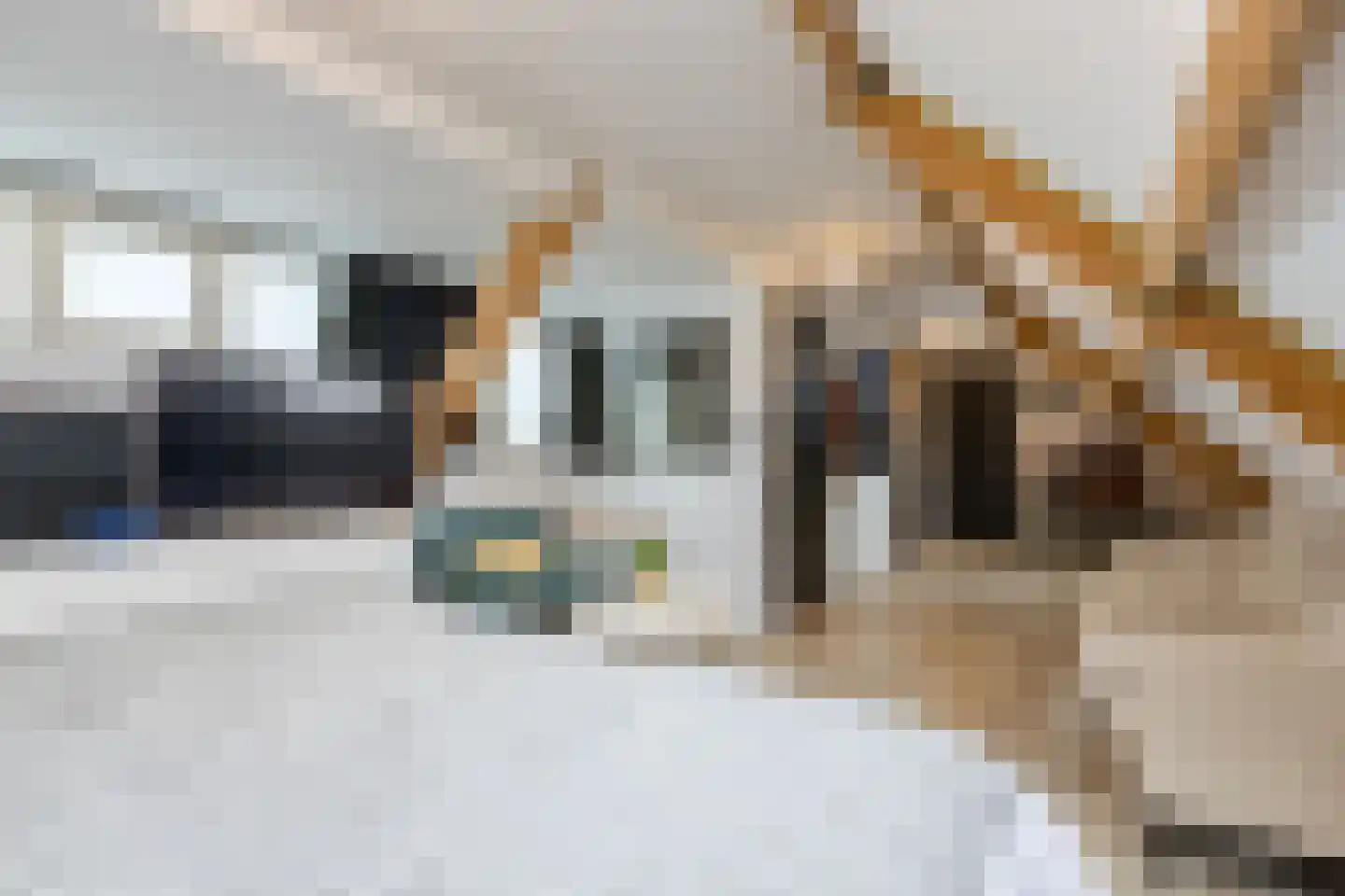 Prins Hendriklaan 15 Bergen (NH) thumbnail 65