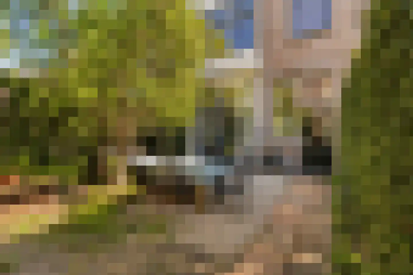 Prins Hendriklaan 15 Utrecht thumbnail 21