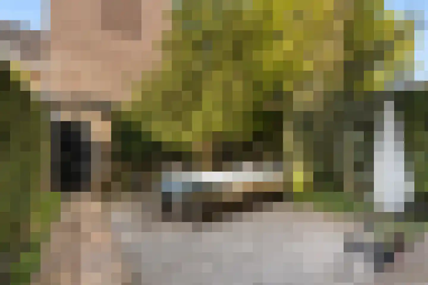 Prins Hendriklaan 15 Utrecht thumbnail 23