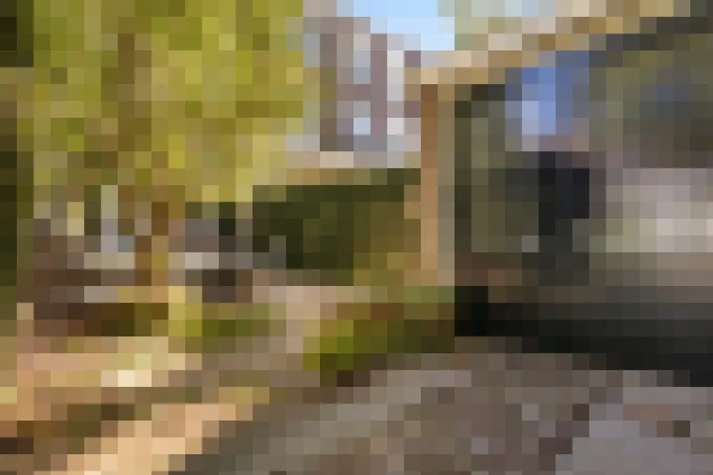 Prins Hendriklaan 15 Utrecht thumbnail 24