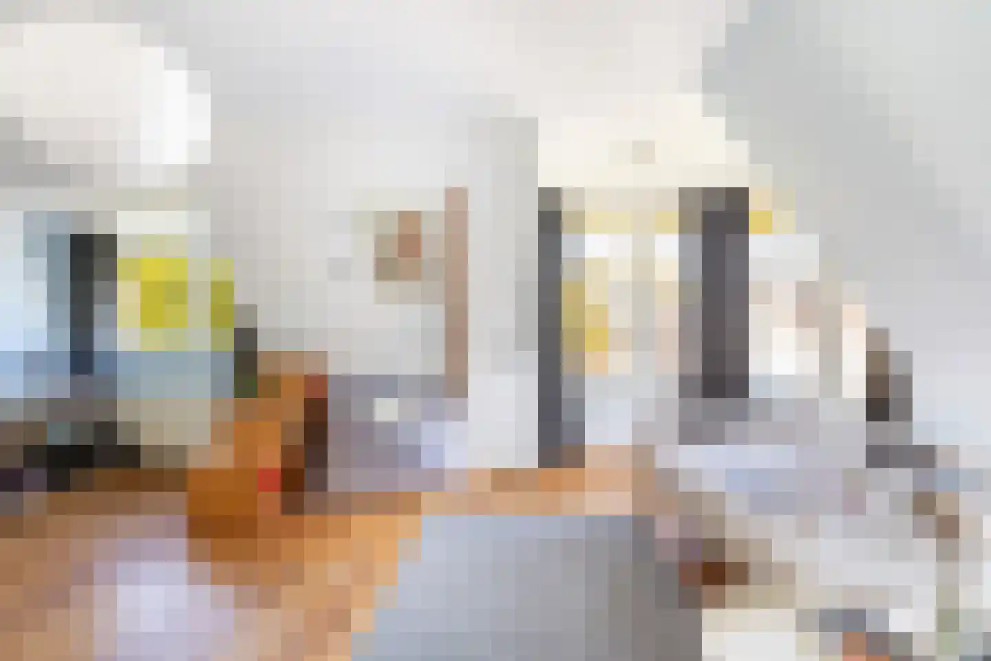 Prins Hendriklaan 15 Utrecht thumbnail 39