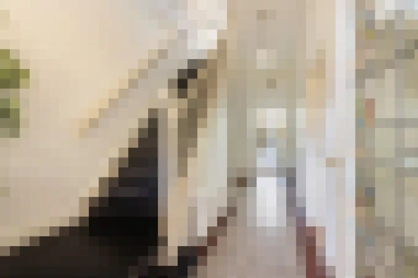 Prins Hendriklaan 15 Utrecht thumbnail 5