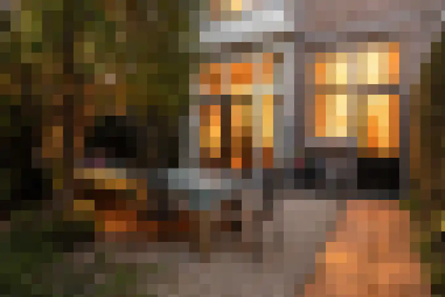Prins Hendriklaan 15 Utrecht thumbnail 53