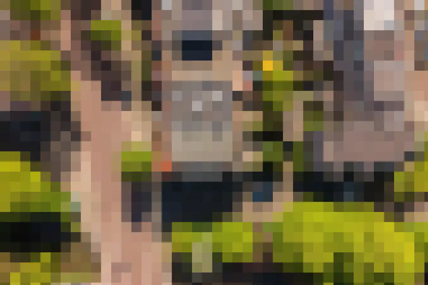 Prins Hendriklaan 15 Utrecht thumbnail 60