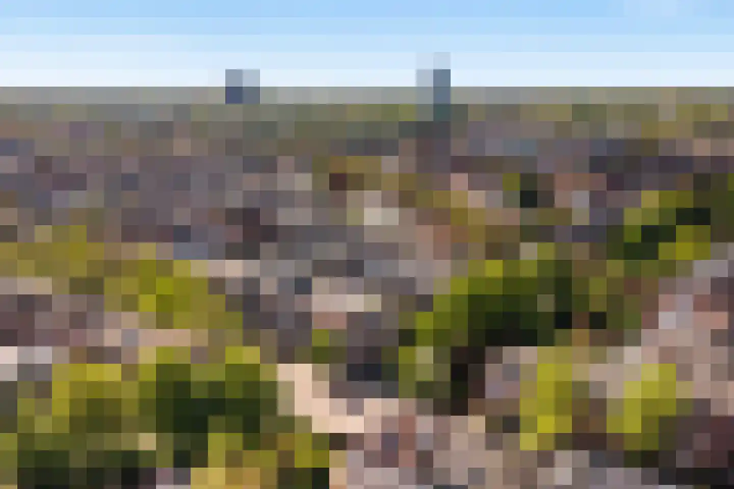 Prins Hendriklaan 15 Utrecht thumbnail 62