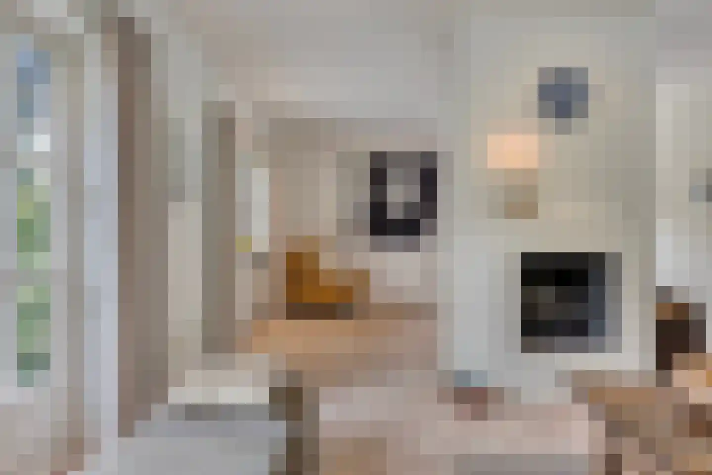 Prins Hendriklaan 15 Waalre thumbnail 12