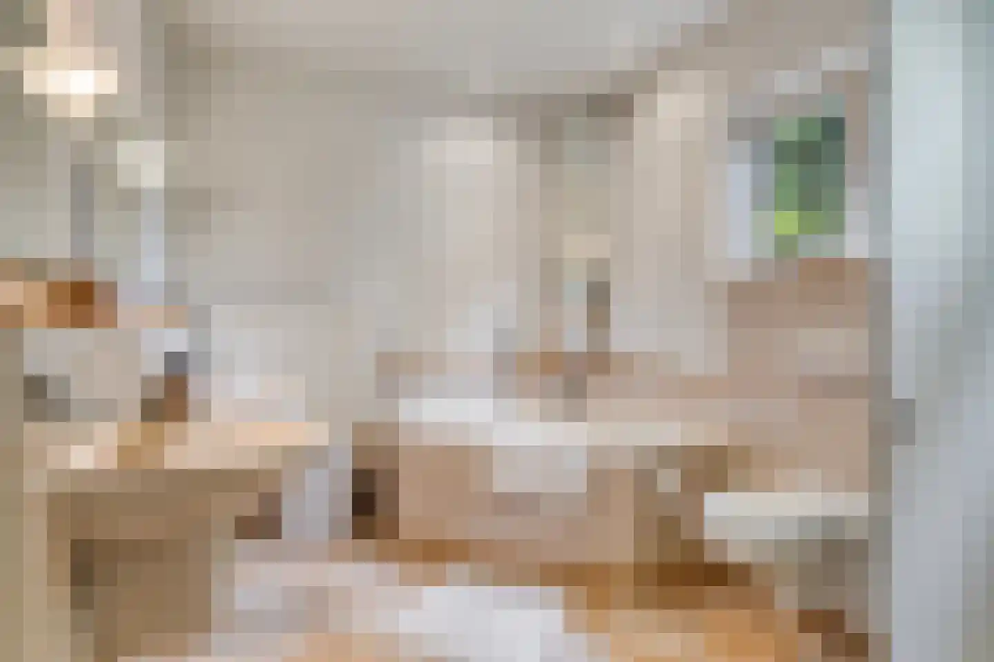 Prins Hendriklaan 15 Waalre thumbnail 18