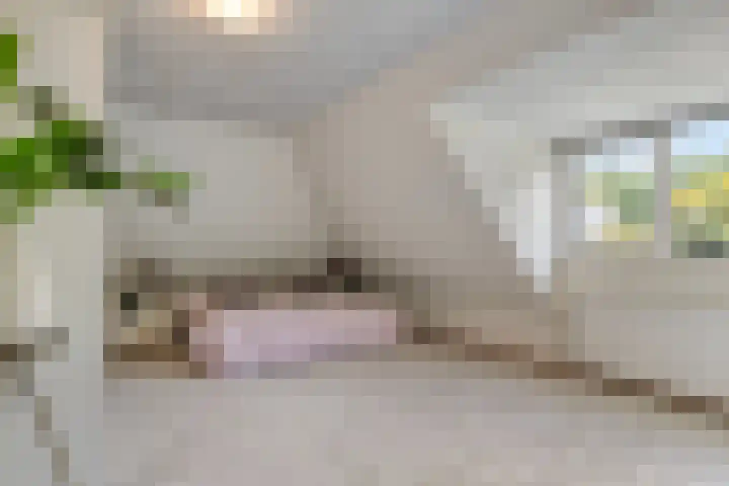 Prins Hendriklaan 15 Waalre thumbnail 20