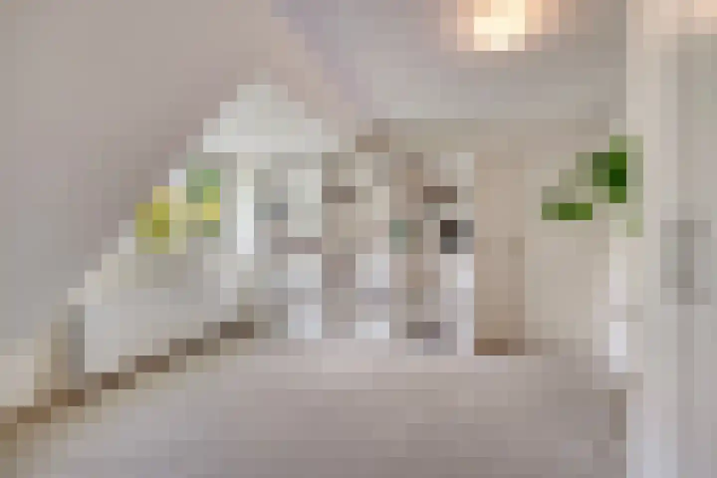 Prins Hendriklaan 15 Waalre thumbnail 21