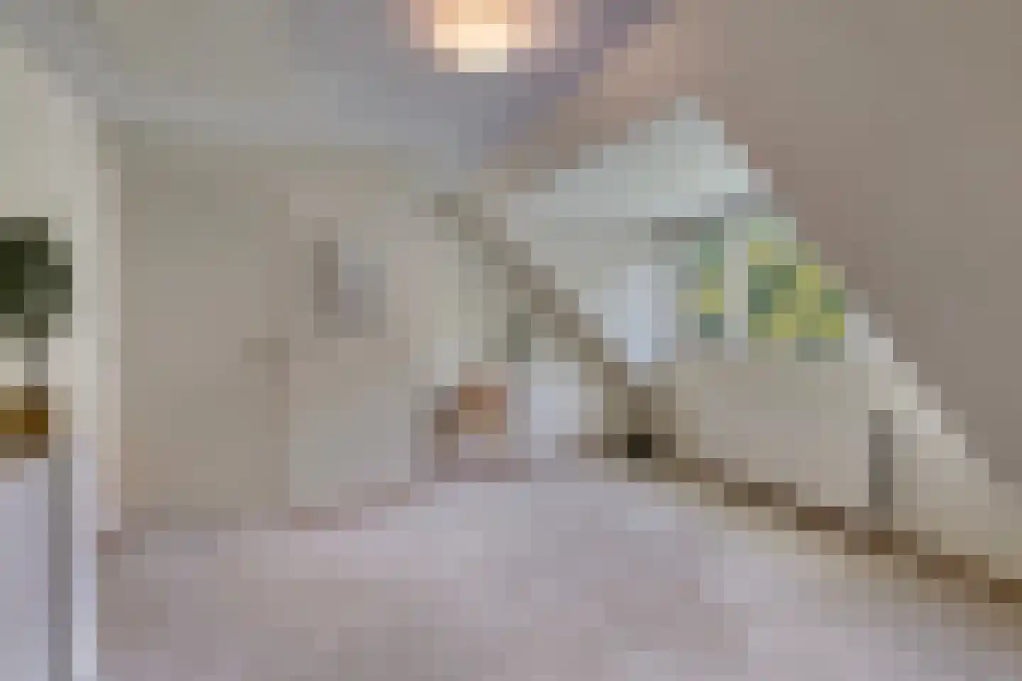 Prins Hendriklaan 15 Waalre thumbnail 24